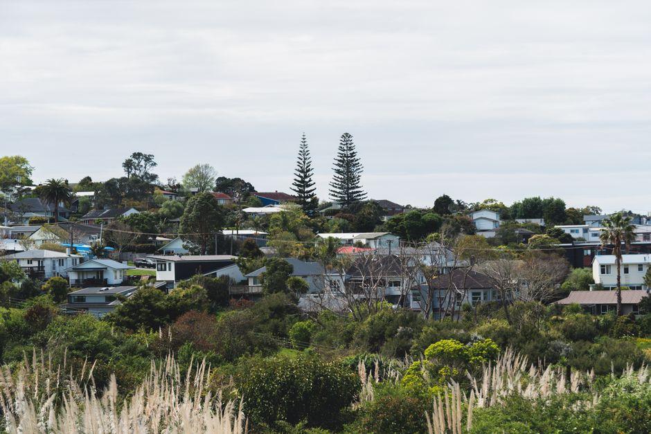 State Legislature Bill Reshapes Auckland Health, Housing, Welfare Funding