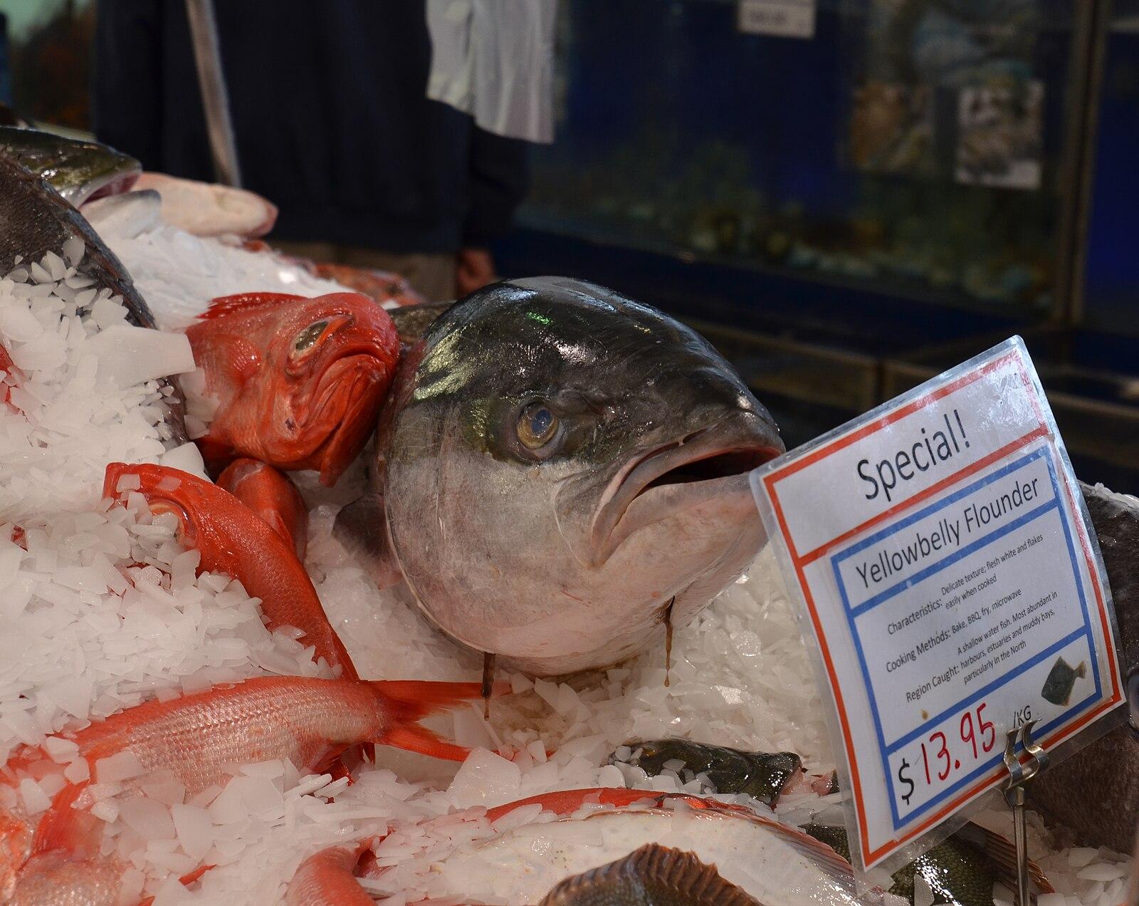 Auckland Fish Market and Seafood School in New Zealand