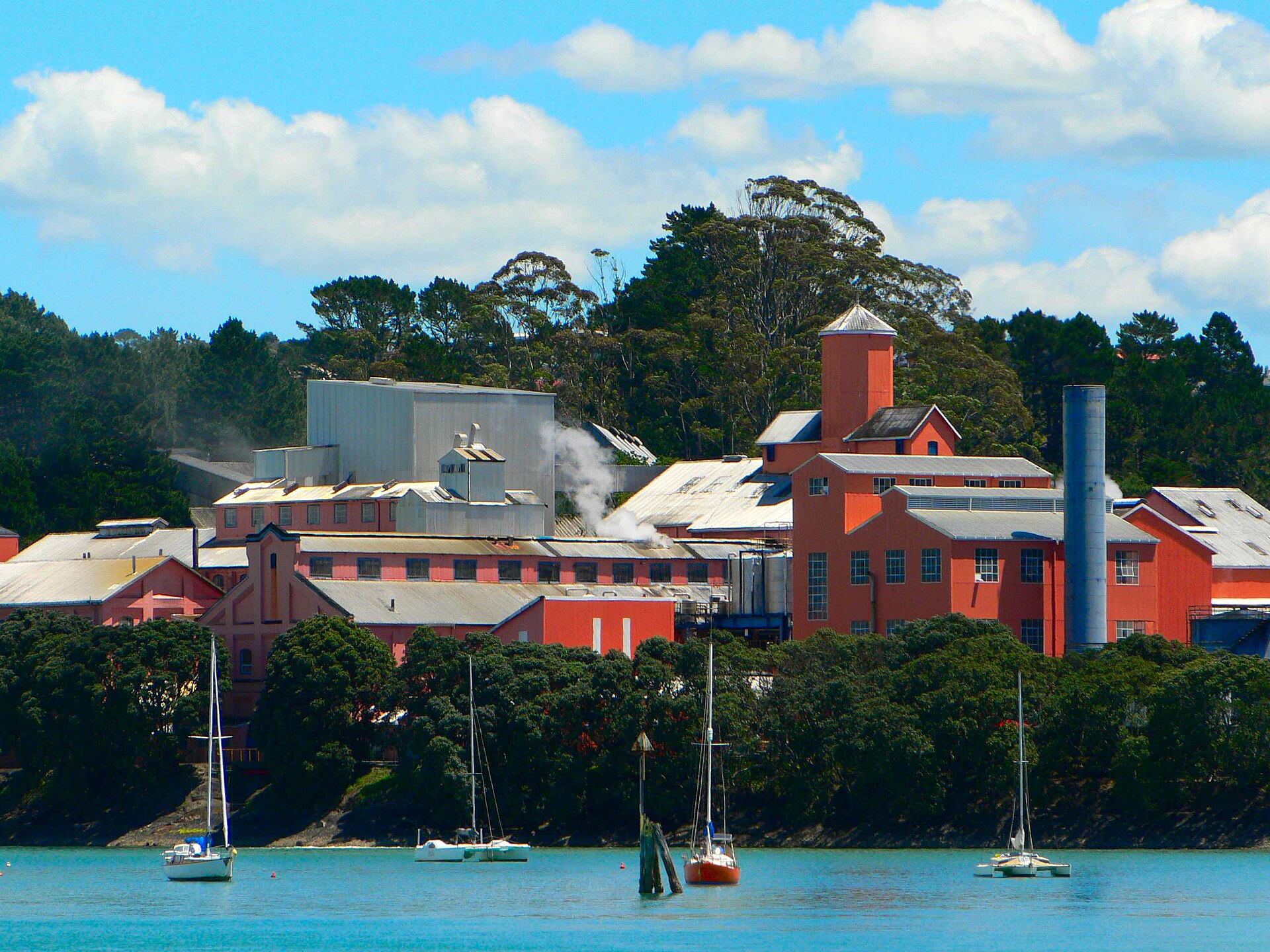 What Auckland Households Need to Understand About Local Economic Growth