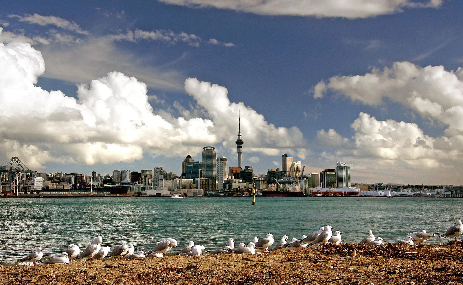 Sky Tower Offers Observation Decks, Dining, Thrill Activities Downtown Auckland