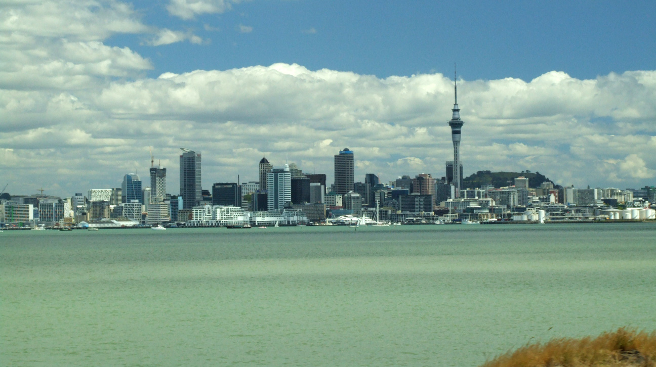 Policy Changes in Auckland Planning Spark Surge in Renovation Market