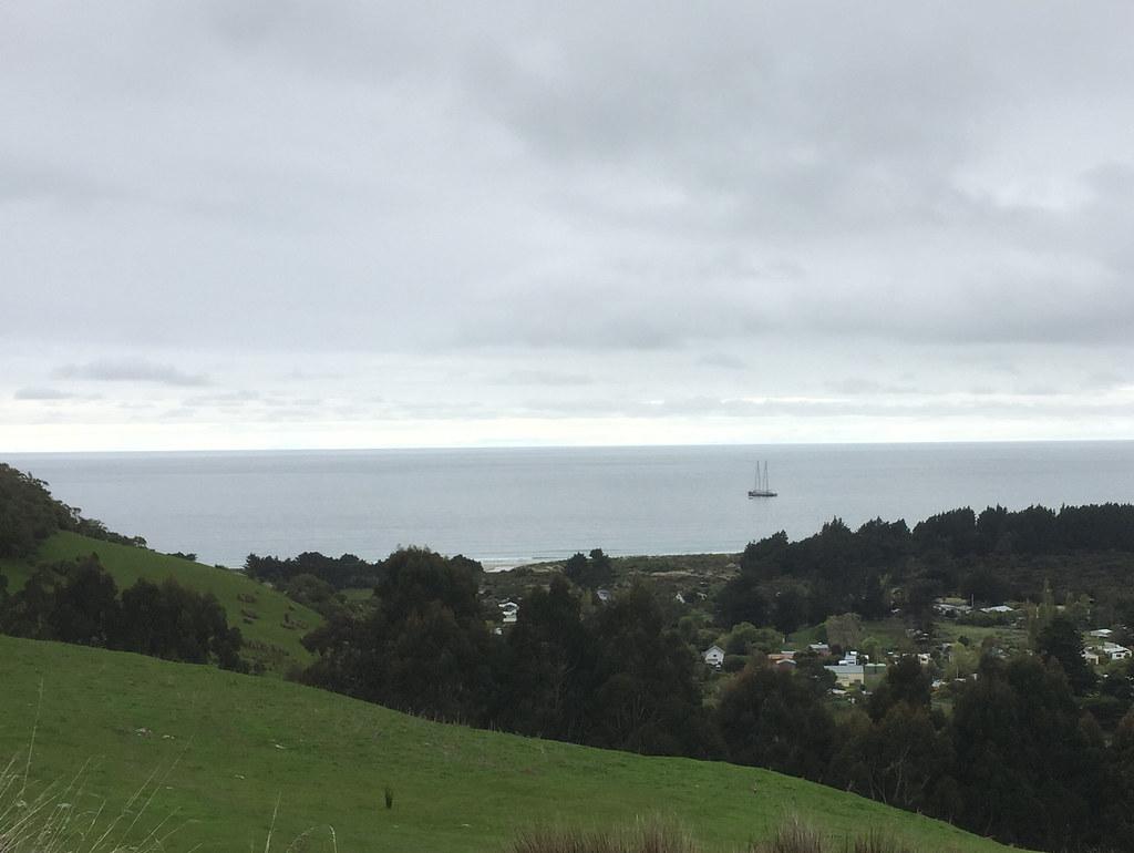 Auckland’s Local Officials and Experts Reflect on Recent Council Decisions